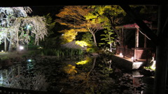 小樽　夜桜・宏楽園