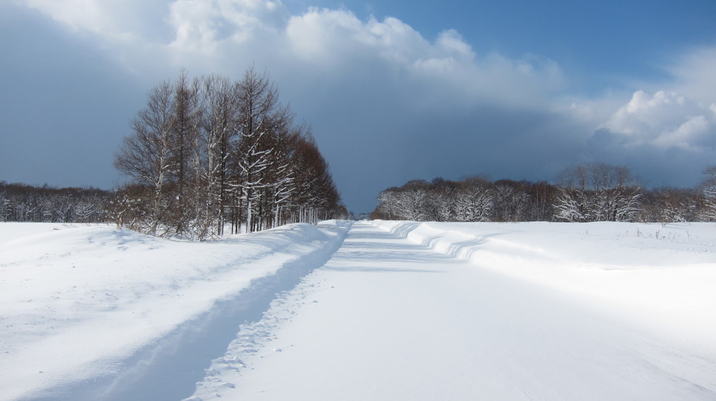 吹雪　迫る