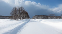 吹雪　迫る