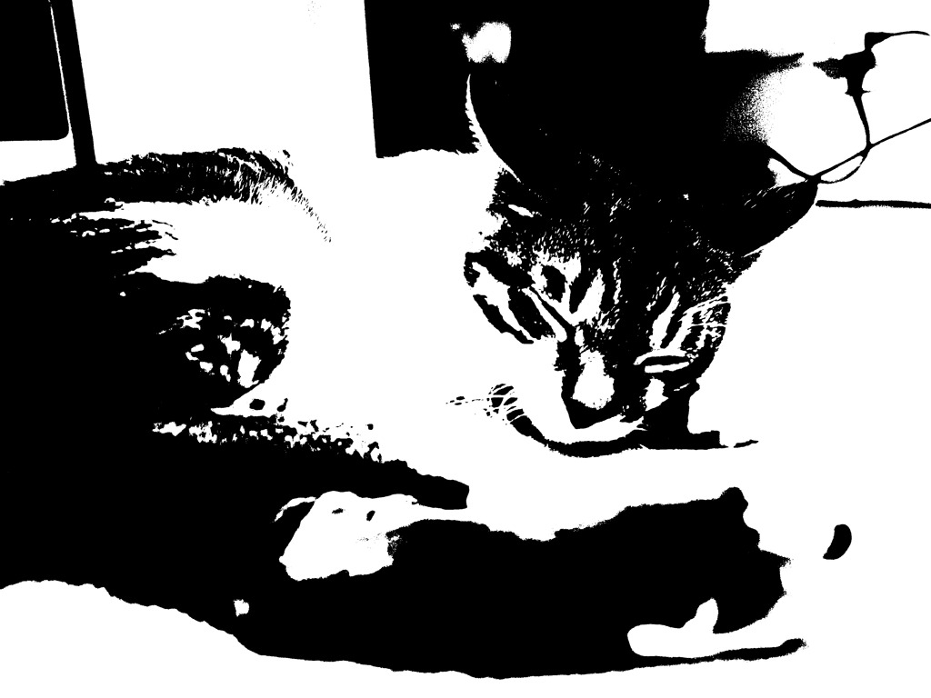 R0011002