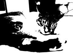 R0011002
