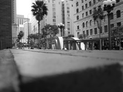 R0010246