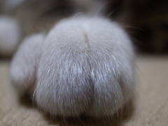 R0010969