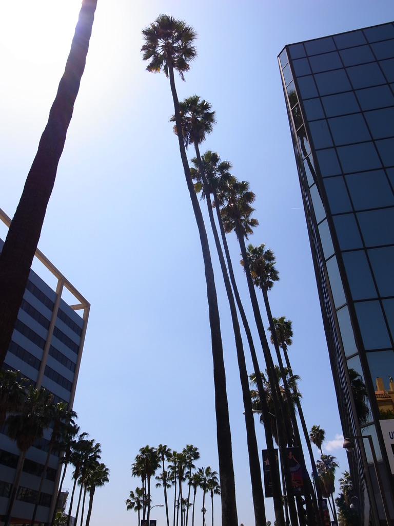 LA