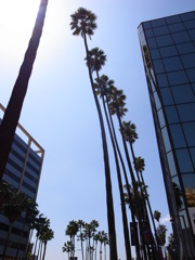 LA