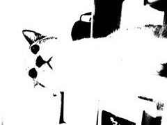 R0010977