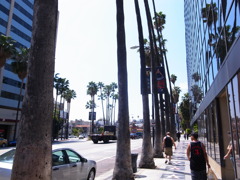 LA