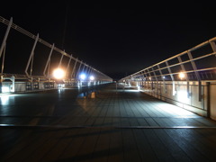 R0011054