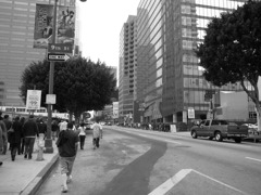 R0010234