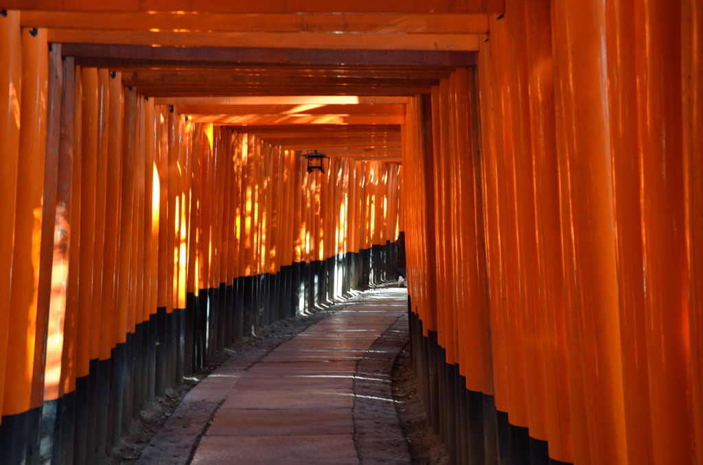 稲荷大社千本鳥居