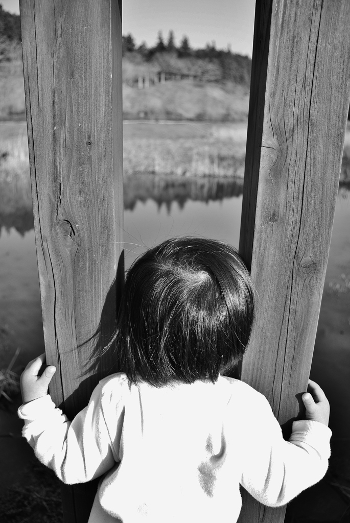 いつかきっと。