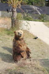 おすわり