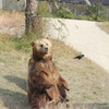 おすわり