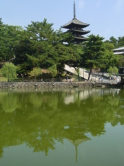 塔と池