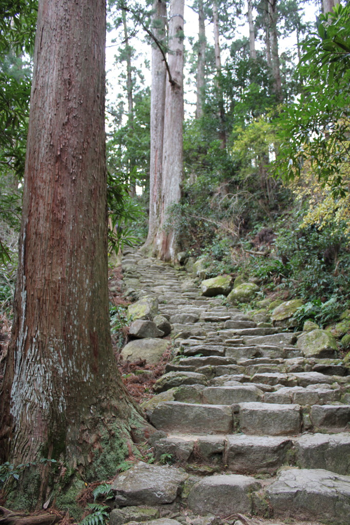 熊野古道