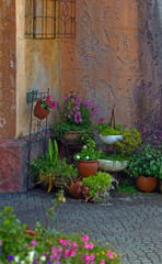 街角を彩る　IMG9337zz