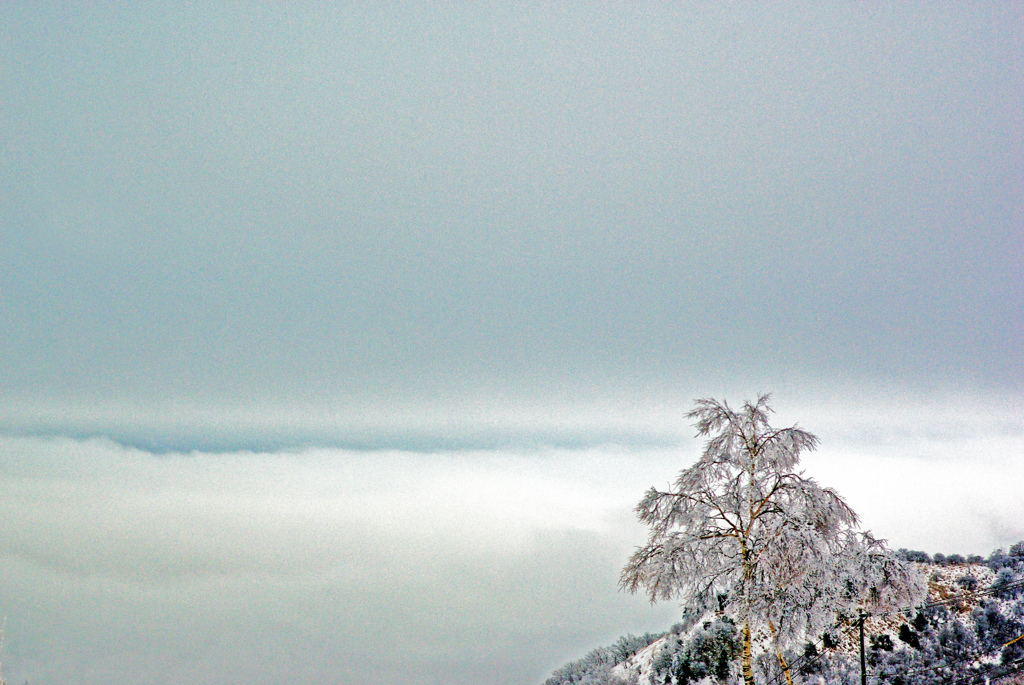 雪空に立つ　IMGP0185zz