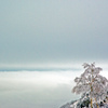 雪空に立つ　IMGP0185zz