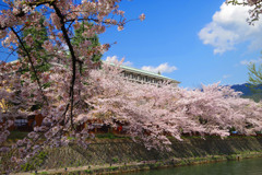 京セラ美術館を望む　IMGP9686zz