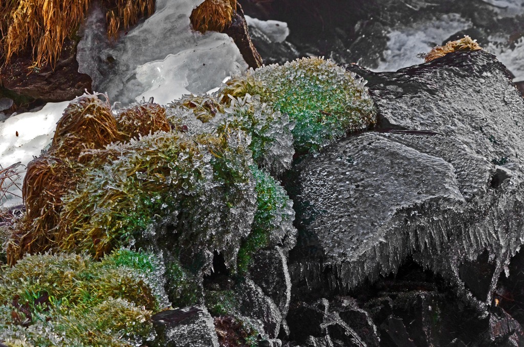 飛沫氷　IMGP7657zz