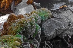 飛沫氷　IMGP7657zz