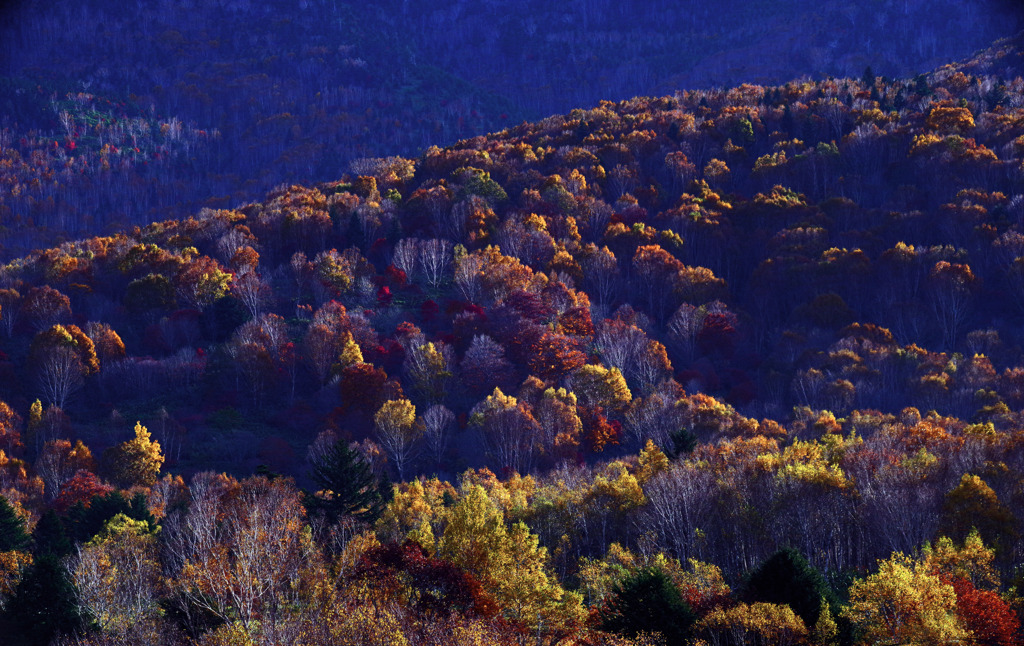 志賀高原の朝　IMGP7329zz