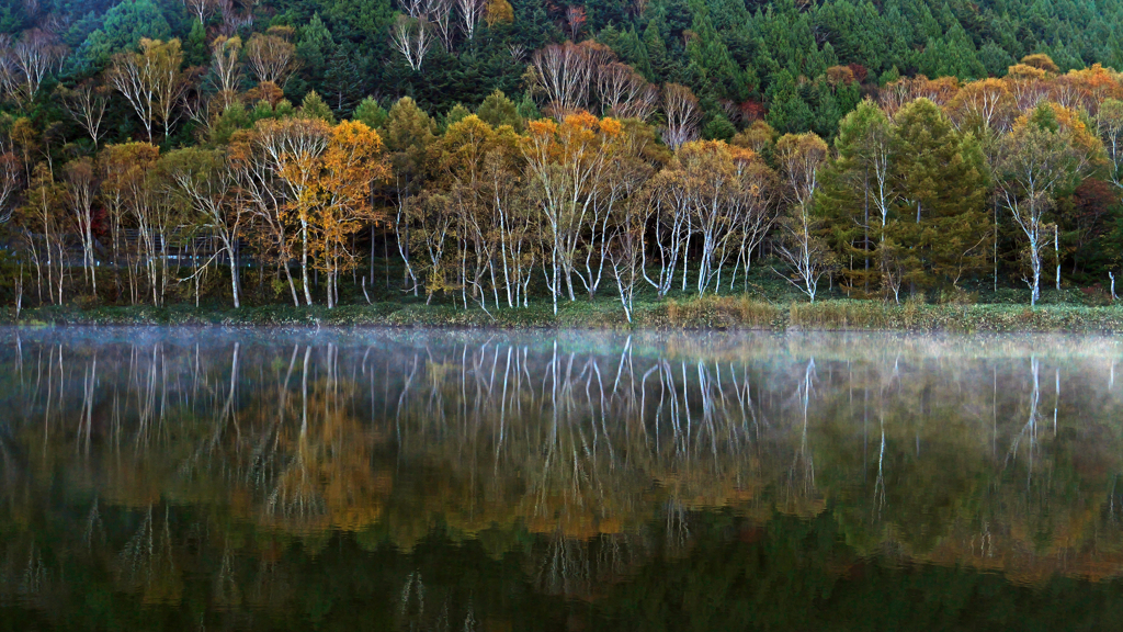 静寂の刻　P1113555zz