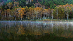 静寂の刻 P1113555zz 静寂の刻 P1113555zz