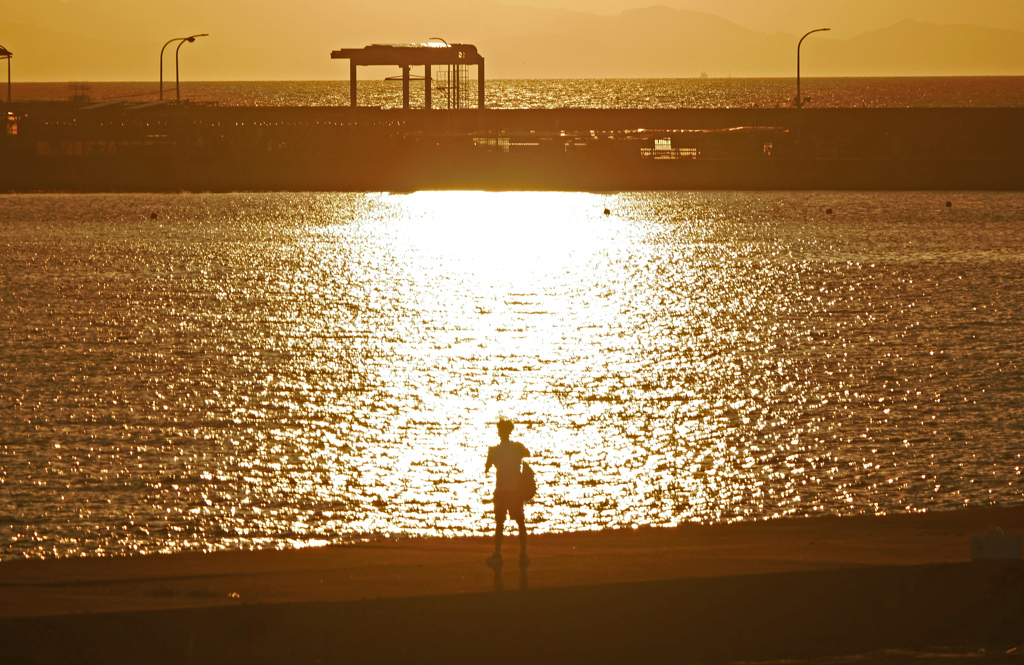 光る海　P1440333zz