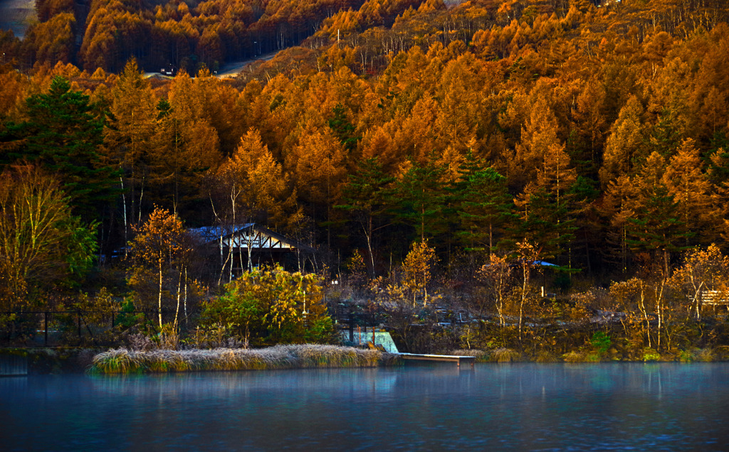湖畔の朝　IMGP0342zz