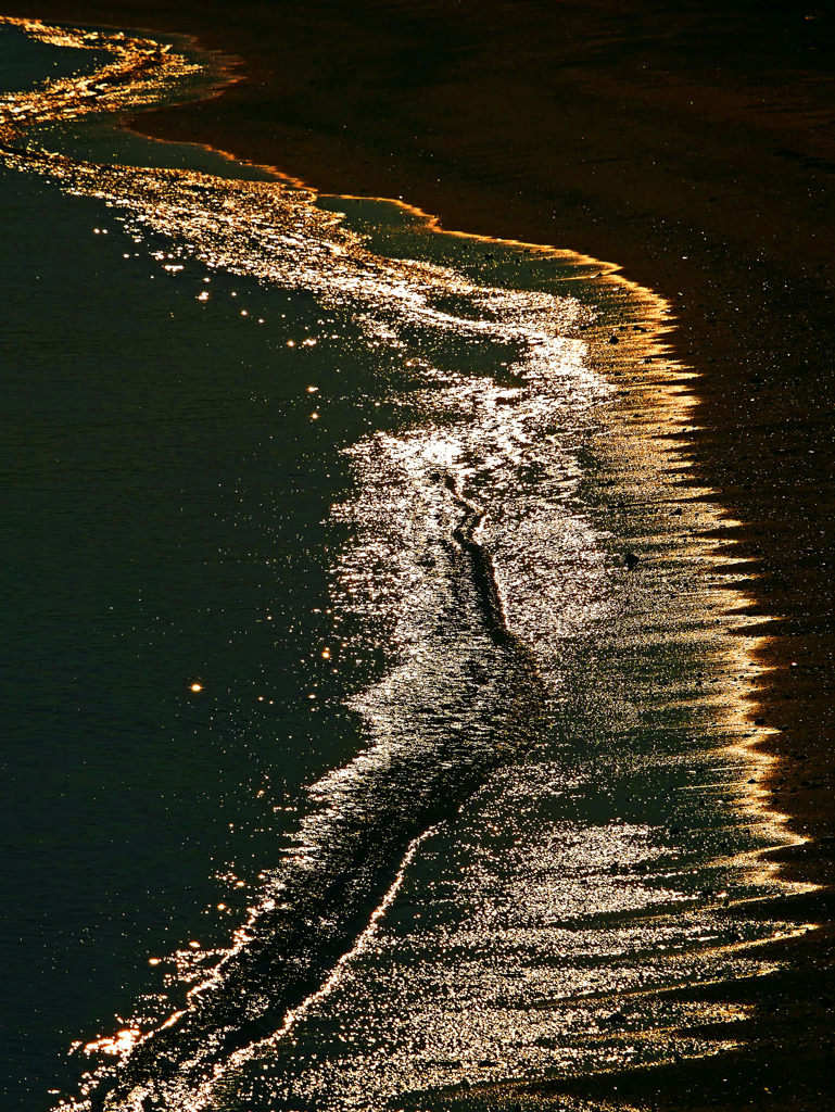 浜辺のMilky way　P1630116zz