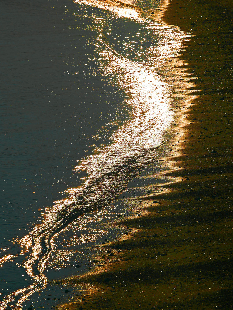 昇り龍　P1630110zz