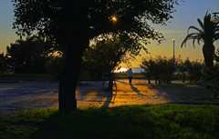 海を見に行く　P1011301zz