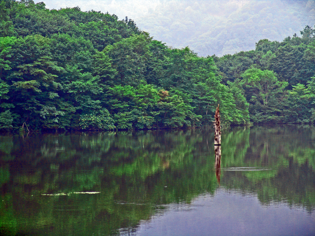 雨上がり 鏡池　DSC04648zz