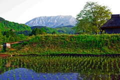 大山北壁を望む　IMGP4340zz