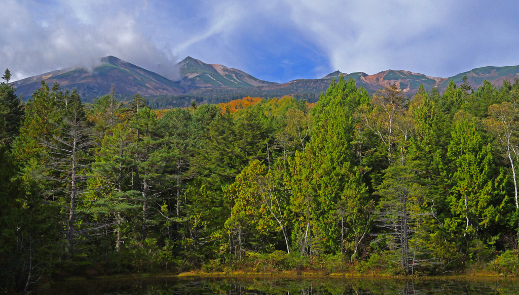 牛留池より乗鞍岳を望む　P1114446zz