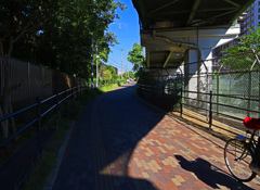 陽の当たる坂道　P1089432zz