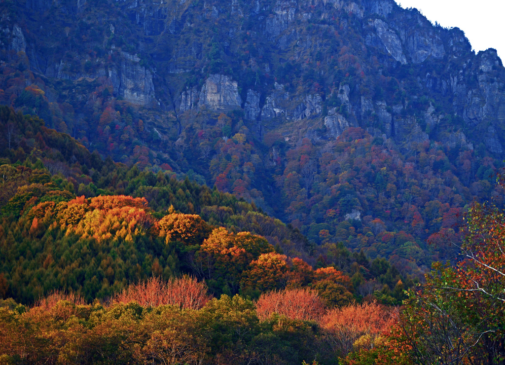 夕映え　P1113937zz