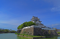 本日も晴天なり  P1044374zz