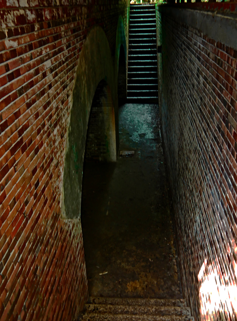 深山第一砲台跡Ⅵ　P1600167zz