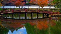 朝の陽Ⅱ　P1124887zz