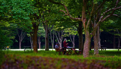 贅沢な朝食 IMGP9006zz 贅沢な朝食 IMGP9006zz