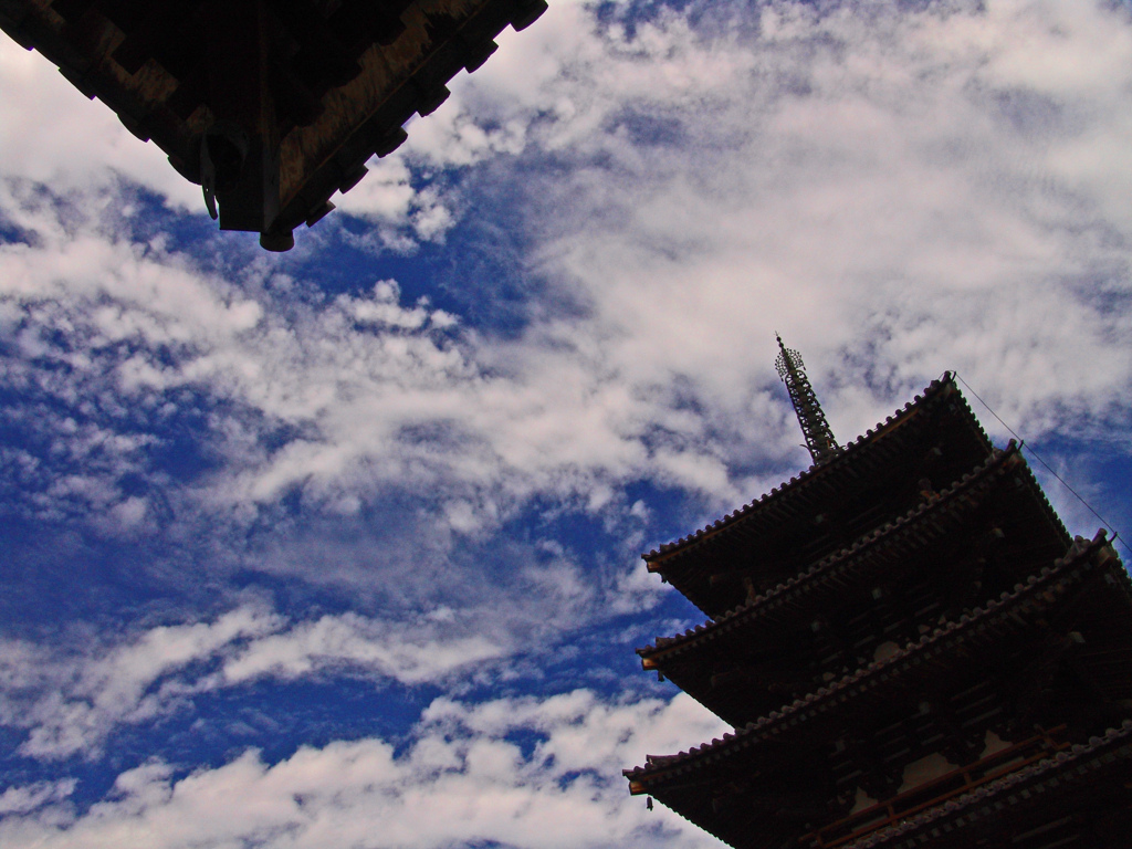 悠久の時　DSC00837zz