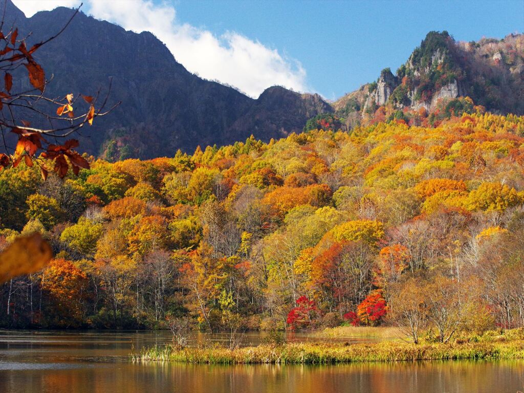 野山 の 錦