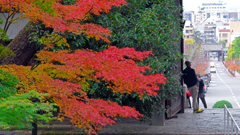 様になるポーズ　P1125954zz