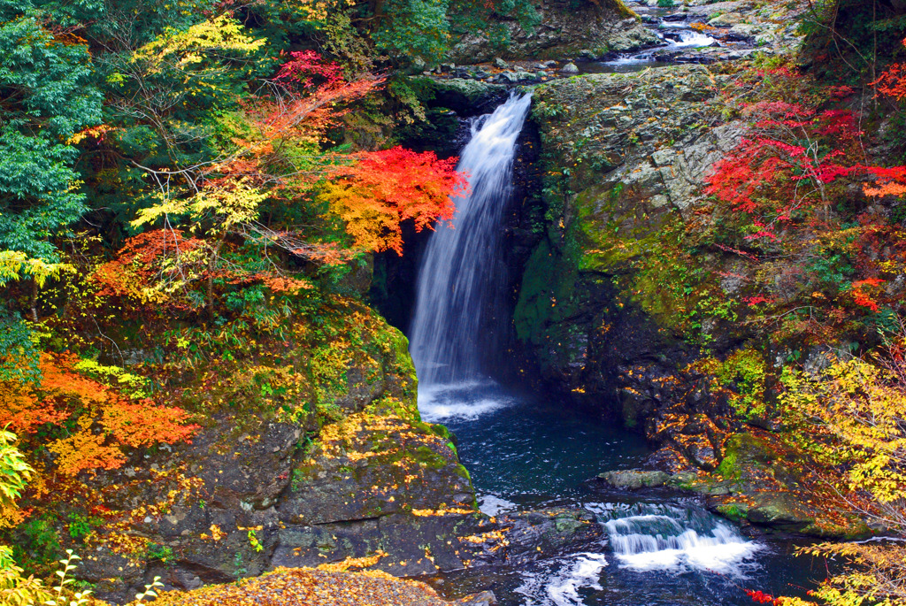 からころも　IMGP3515zz