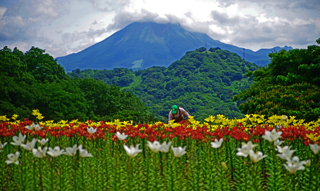 伯耆大山を仰ぐ　IMGP1329zz
