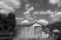 モノクロ黒江散歩《冬の好天》　P1060814zz