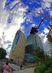 猛暑　IMGP0023zzz