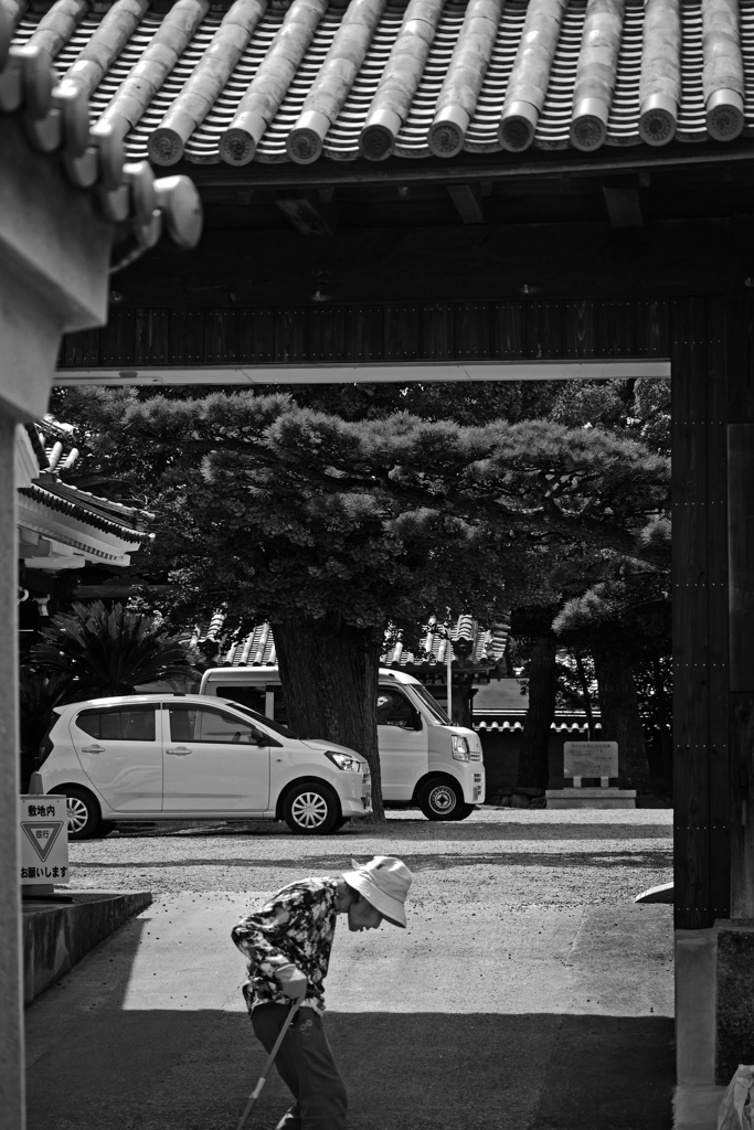 ルーティーン　P1210253zz